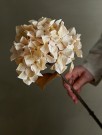 Hortensia Kunstig Stilk thumbnail