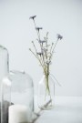  Blomst lavendel nyanser - Ib Laursen thumbnail
