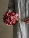 Hortensia Kunstig Stilk thumbnail