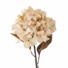 Hortensia Kunstig Stilk thumbnail