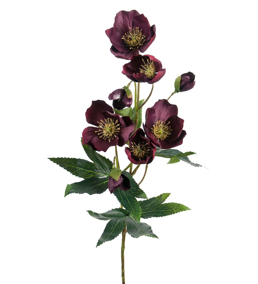 Julerose