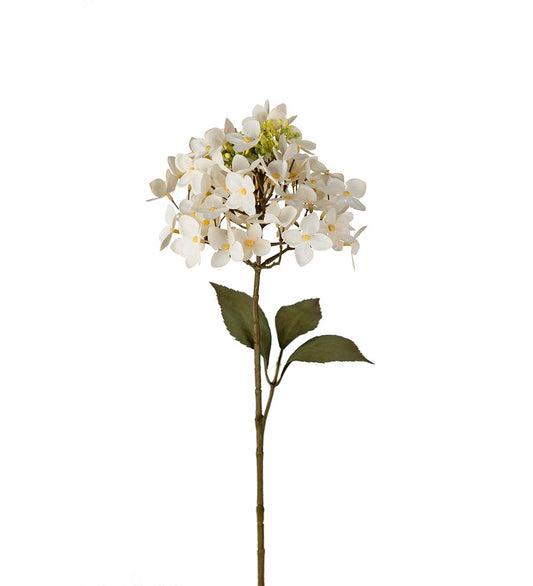 Hortensia Hvit 65 cm