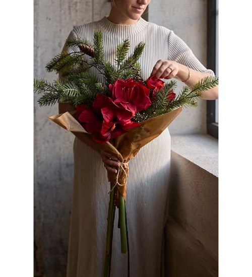 Amaryllis 60 cm