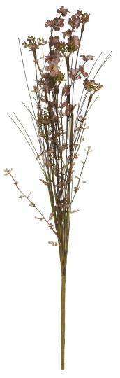Blomst Malva nyanser
