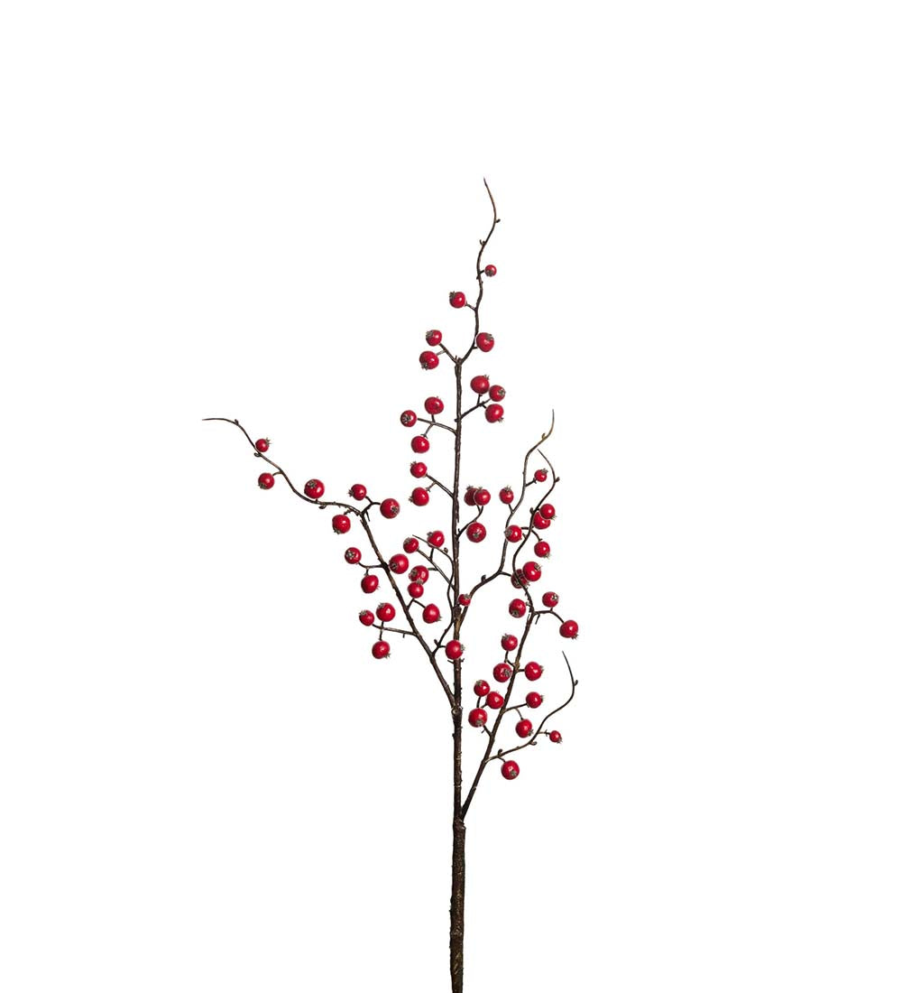 Bærkvist rød 75 cm