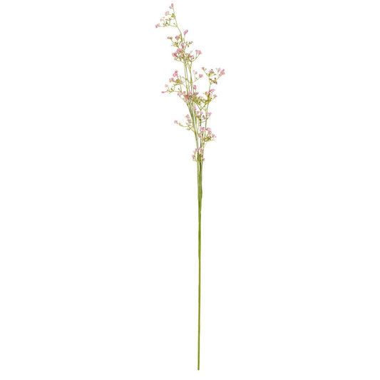 Blomst lyserøde blomster