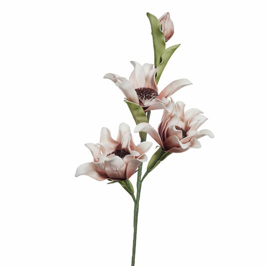 Dekorblomst Happia støvrosa