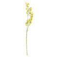 Last inn bildet i gallerivisningen, Blomst gule blomster
