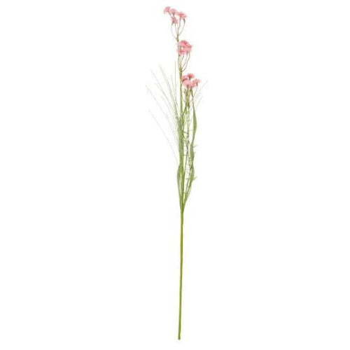Blomst lyserøde / hvite blomster