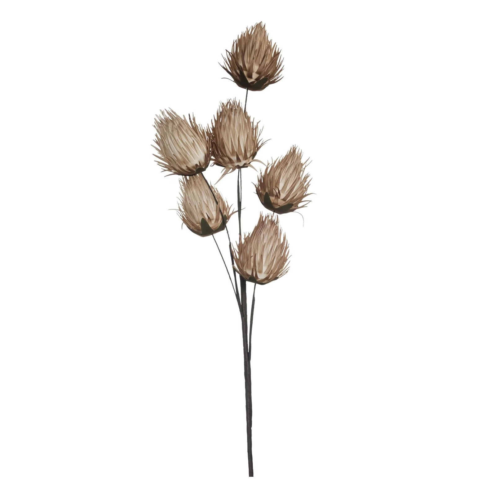 Dekorblomst Happia rose