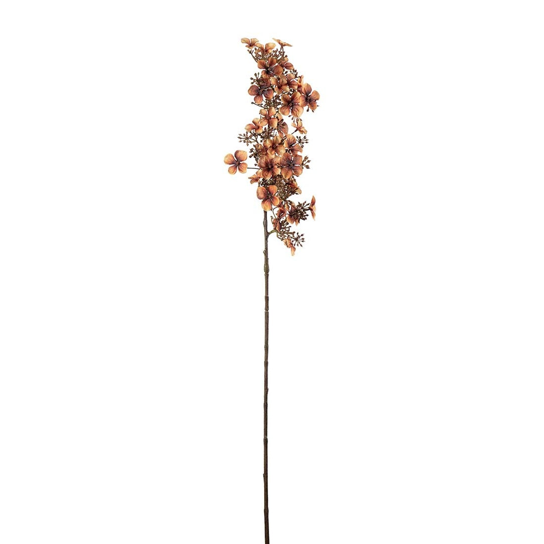 Hortencia Kvist brun 89 cm