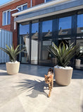 Last inn bildet i gallerivisningen, Kunstig Agave Pandora UV 85 cm
