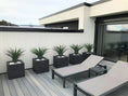 Last inn bildet i gallerivisningen, Kunstig Agave Pandora UV 85 cm
