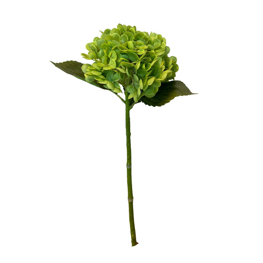 Kunstig Charlotte Hortensia Real Touch Mørk Grønn 55 cm