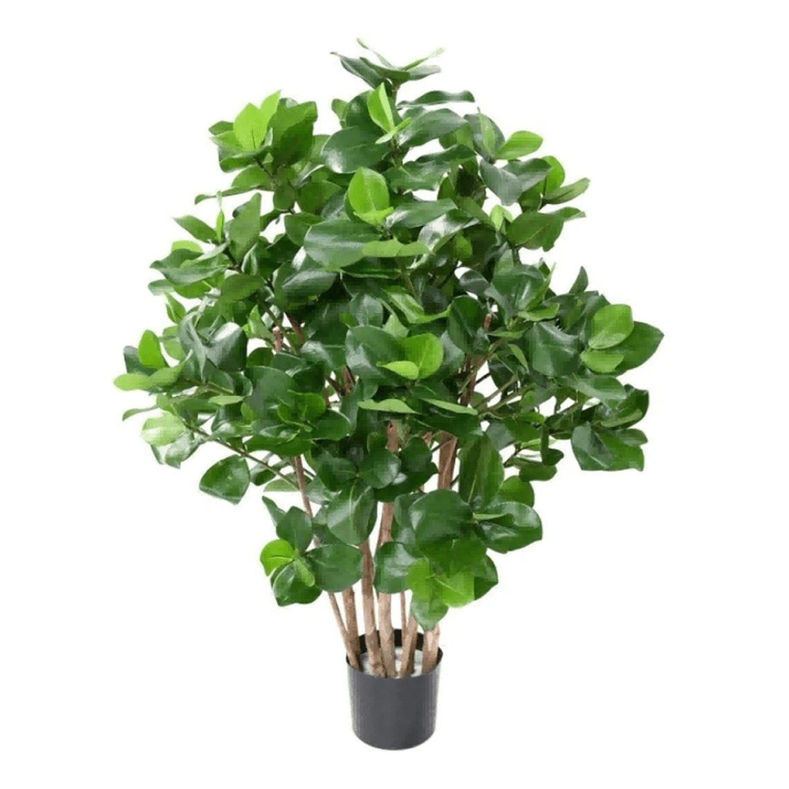 Kunstig Clusia Busk 75 cm