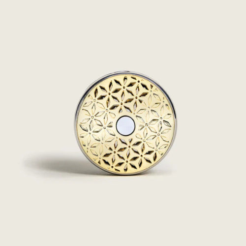 Maison Berger Diff Voit. Tech Pomelis