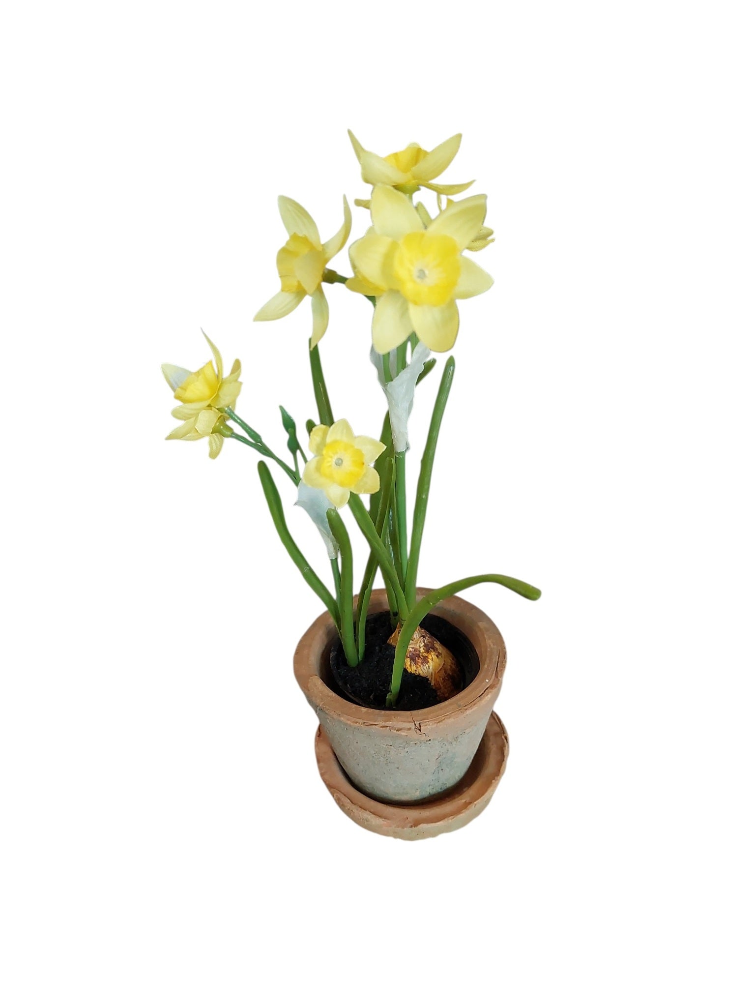Påskelilje med potte