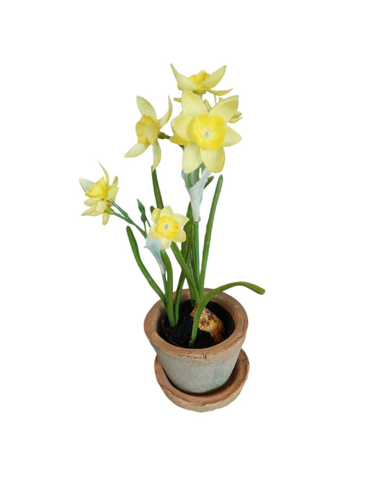 Påskelilje med potte