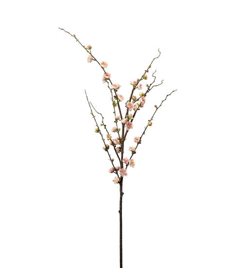 Plommeblomst 120 cm
