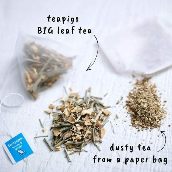 Teapigs Organic Lemon and Ginger 15 Temples