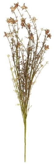 Blomst brunlige nyanser